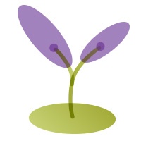 RESILIÈNCIA I EMPODERAMENT